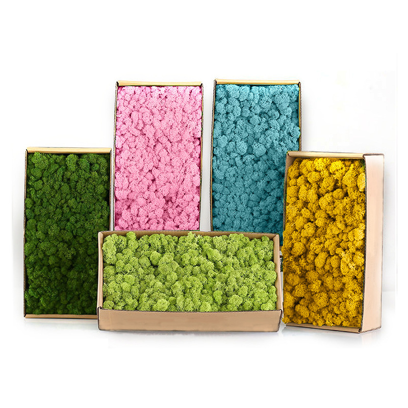 Sztuczne zielone rośliny Mini  – Sphagnum Moss Dry recenzja i cena