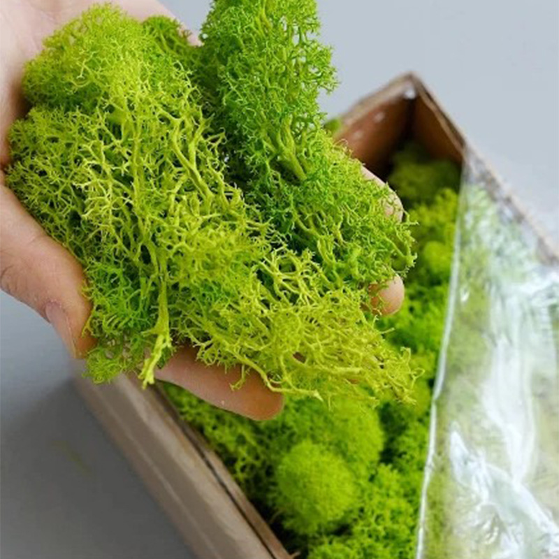 20g Sztuczny zielony mech Rośl – Sphagnum Moss Dry recenzja i cena
